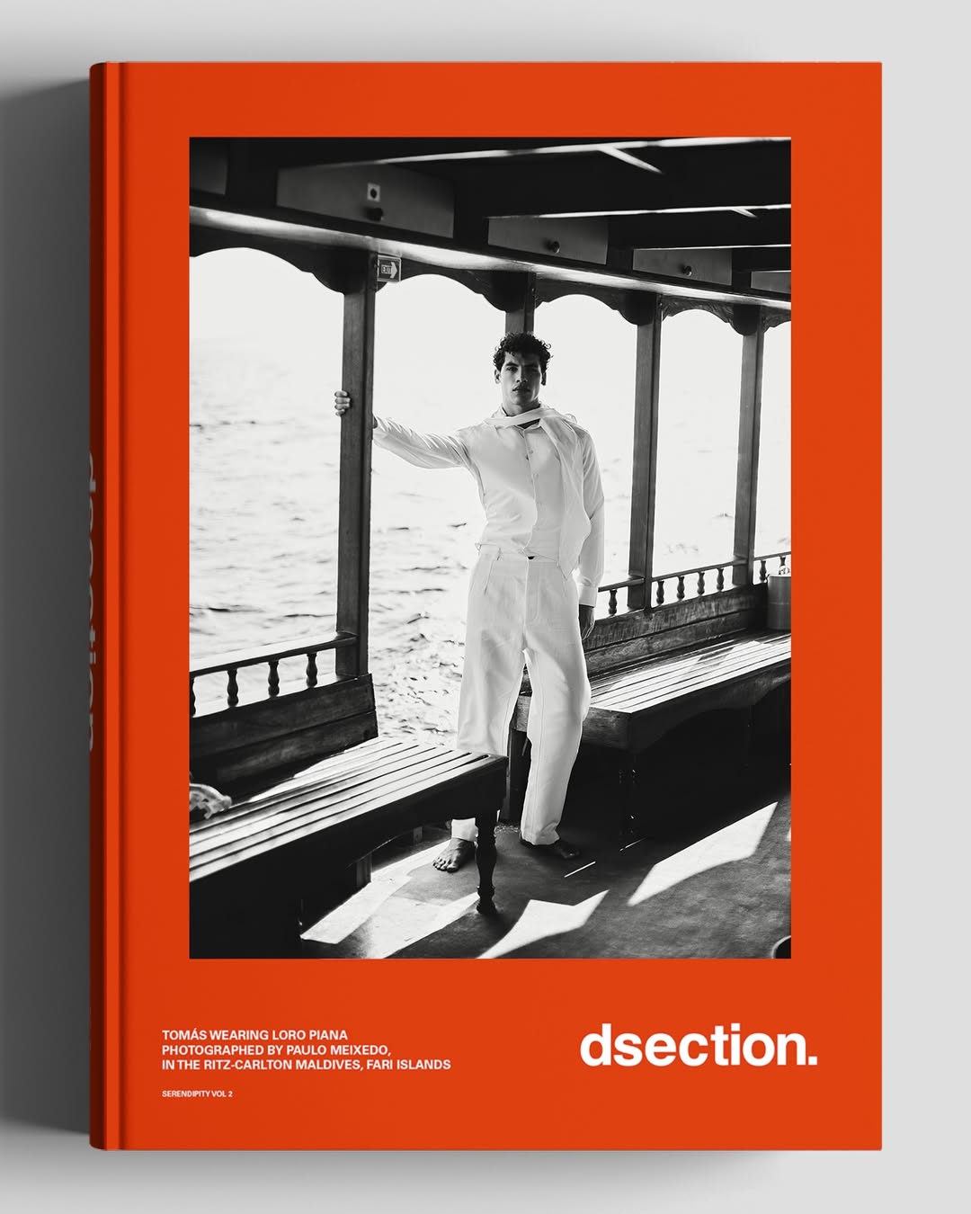 Dsection Magazine