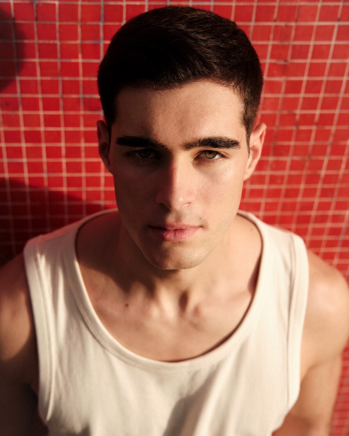 Telmo Abreu 29
